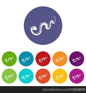 Desert snake icons color set vector for any web design on white background. Desert snake icons set vector color