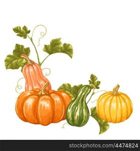 Design element with pumpkins. Decorative ornament from vegetables and leaves. Design element with pumpkins. Decorative ornament from vegetables and leaves.