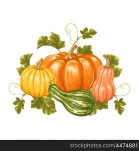 Design element with pumpkins. Decorative ornament from vegetables and leaves. Design element with pumpkins. Decorative ornament from vegetables and leaves.
