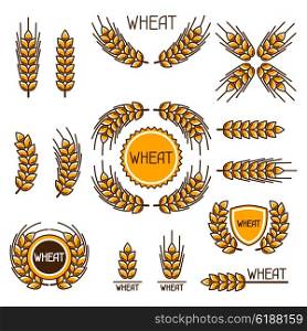 Design elements with wheat. Agricultural image natural ears of barley or rye. Objects for decoration bread packaging, beer labels.