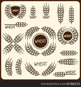 Design elements with wheat. Agricultural image natural ears of barley or rye. Objects for decoration bread packaging, beer labels.