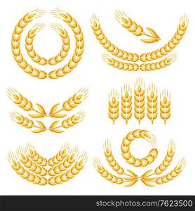 Design elements with wheat. Agricultural image natural golden ears of barley or rye.. Design elements with wheat.