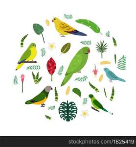 Design template with parrots in circle for kid print. Round composition of tropical birds Neophema, senegal, rose ringed, racket tail. Vector set of jungle life in cartoon style.. Design template with parrots in circle for kid print. Round composition of tropical birds Neophema, senegal, rose ringed, racket tail.