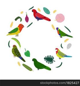 Design template with parrots in circle for kid print. Round composition of tropical birds kakariki, loriiane, eclectus and rosella. Vector set of jungle life in cartoon style.. Design template with parrots in circle for kid print. Round composition of tropical birds kakariki, loriiane, eclectus and rosella.