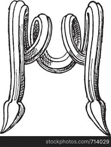 Detail of the handle of a plate, vintage engraved illustration.