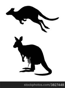 Detailed and isolated illustration of kangaroo jumping