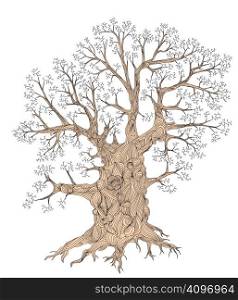 Detailed editable vector illustration of a leafless oak tree including basic outline