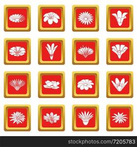 Detailed flower icons set vector red square isolated on white background . Detailed flower icons set red square vector