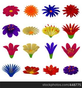 Detailed flowers icons set. Cartoon illustration of 16 detailed flowers vector icons for web. Detailed flowers icons set, cartoon style