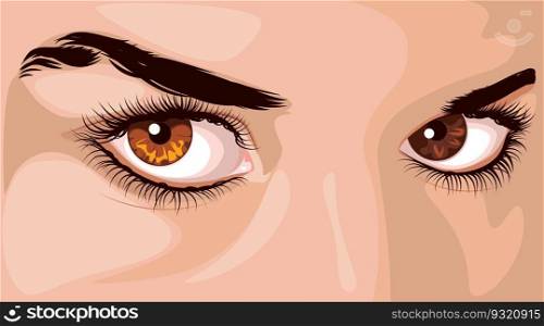 Detailed illustration of human eyes of brown color, long eyelashes and eyebrows.