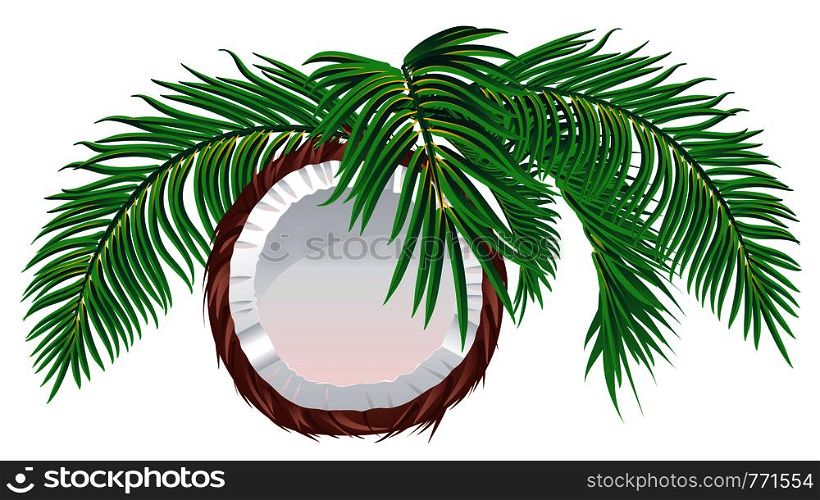 Detailed illustration of tasty coconut half with palm leaves background.