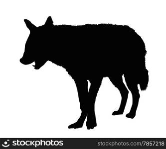 Detailed Portrait Silhouette of Spotted Hyena with Open Mouth