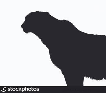 Detailed Silhouette of Alert Standing Cheetah