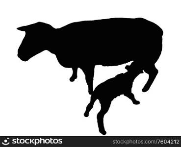 Detailed Silhouette of Sheep with Nursing Lamb