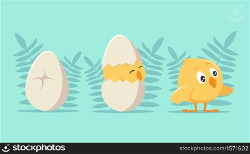 Development steps from an egg to chick. Cracked shell and emerging yellow cartoon cub joyful first birthday celebration cute young hen breaking free fluffy natural vector fun.. Development steps from an egg to chick. Cracked shell and emerging yellow cartoon cub.