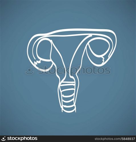Diagram of the internal female reproductive organs