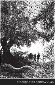 Dick Sand went under the thick forest, vintage engraved illustration.