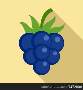 Diet blackberry icon. Flat illustration of diet blackberry vector icon for web design. Diet blackberry icon, flat style