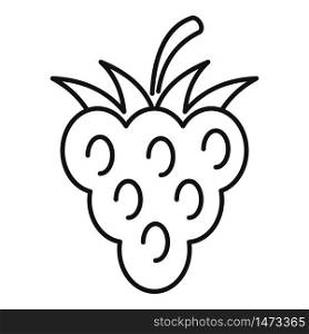 Diet blackberry icon. Outline diet blackberry vector icon for web design isolated on white background. Diet blackberry icon, outline style