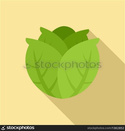 Diet cabbage icon. Flat illustration of diet cabbage vector icon for web design. Diet cabbage icon, flat style