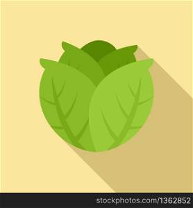 Diet cabbage icon. Flat illustration of diet cabbage vector icon for web design. Diet cabbage icon, flat style