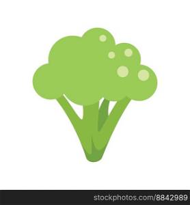 Diet fresh brocoli icon flat vector. Broccoli cabbage. Food vegetable isolated. Diet fresh brocoli icon flat vector. Broccoli cabbage