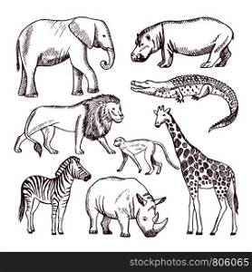 Different animals of savana and africa. Wild safari animals, african nature wildlife. Vector illustration. Different animals of savana and africa