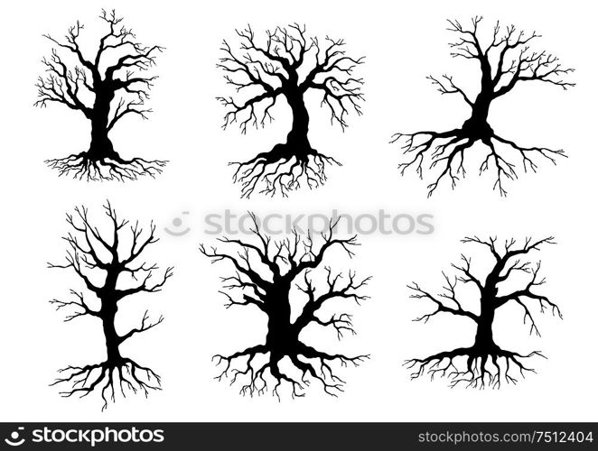 Different black leafless deciduous winter tree silhouettes with roots, isolated on white. Old tree icons silhouettes with roots