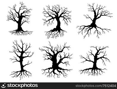Different black leafless deciduous winter tree silhouettes with roots, isolated on white. Old tree icons silhouettes with roots