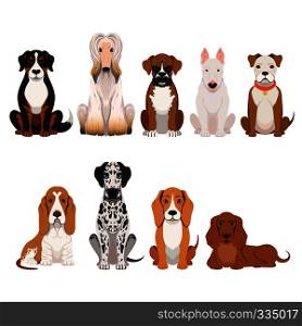 Different breeds of dog. Group of domestic animals in cartoon style. Vector illustrations set domestic dogs breed, collection of adorable character friends. Different breeds of dog. Group of domestic animals in cartoon style. Vector illustrations set