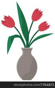 Different colors tulips spring bouquet in glass vase isolated on white background. Flower container vector illustration. Cartoon decoration for interior design of room. Vase with flowers tulips. Different colors tulips spring bouquet in glass vase isolated on white background. Flower container