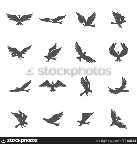 Different eagle birds spreding their wings and flying icons set isolated vector illustration. Eagle Icons Set