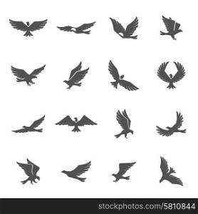 Different eagle birds spreding their wings and flying icons set isolated vector illustration. Eagle Icons Set