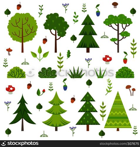 Different forest plants, trees mushrooms and other floral elements. Cartoon vector illustration isolate on white. Green tree forest, nature tree and mushroom design. Different forest plants, trees mushrooms and other floral elements. Cartoon vector illustration isolate on white