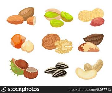 Different kinds of nuts vector illustrations set. Collection of drawings with almond, hazelnut, pistachio, cashew, sunflower seeds, peanut, walnut isolated on white background. Food, nutrition concept