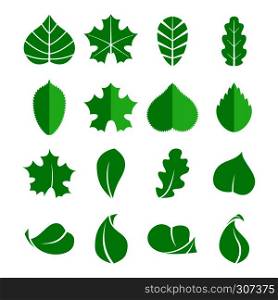 Different leaf set. Vector icons. Design eco elements isolate on white background. Green leaf tree, illustration of natural leaf. Different leaf set. Vector icons. Design eco elements isolate on white background