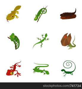 Different lizard icons set. Cartoon set of 9 different lizard vector icons for web isolated on white background. Different lizard icons set, cartoon style