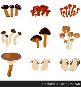 Different mushrooms set isolated on white background. Flat Cartoon style. Vector illustration.. Different mushrooms set.