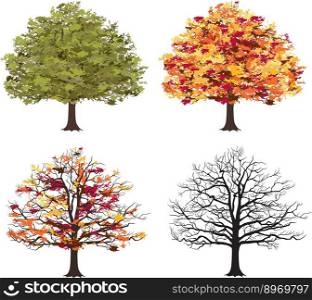 Different seasons of art tree vector image