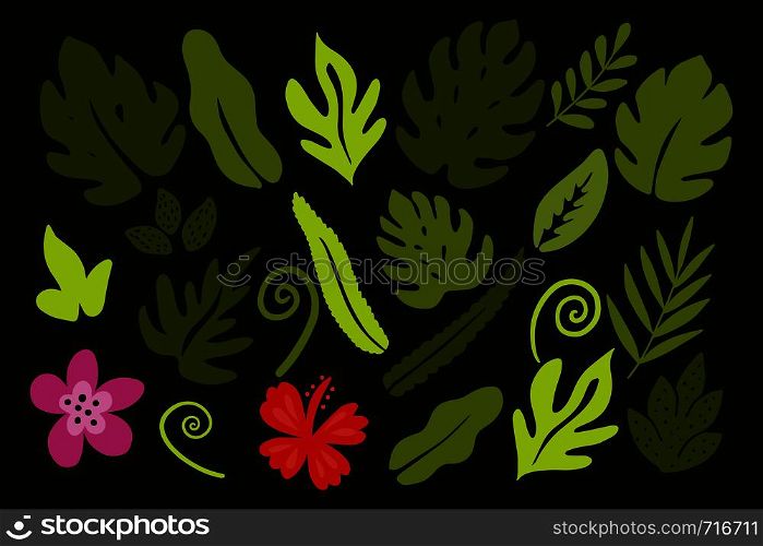 Different tropical leaves on green background.