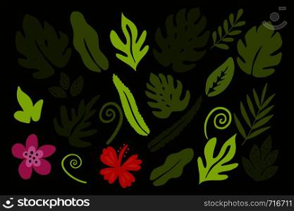 Different tropical leaves on green background.
