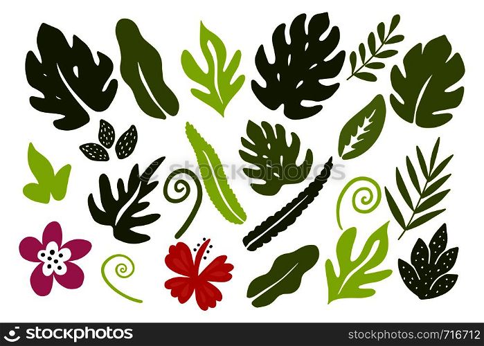 Different tropical leaves on white background.