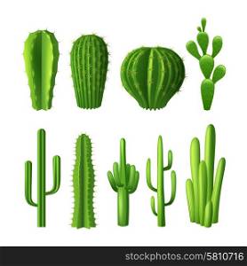 Different types of cactus plants realistic decorative icons set isolated vector illustration. Cactus Realistic Set