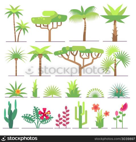 Different types of tropical plants, trees, flowers flat vector collection. Different types of tropical plants, trees, flowers flat vector collection. Flower and exotic palm illustration