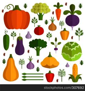 Different vegetables in cartoon style. Vector icons set. Vegetarian organic carrot and pepper illustration. Different vegetables in cartoon style. Vector icons set