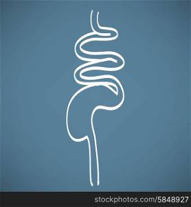 digestive system chalk painted vector illustration