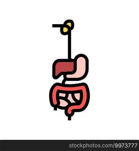 digestive system color icon vector. digestive system sign. isolated symbol illustration. digestive system color icon vector illustration