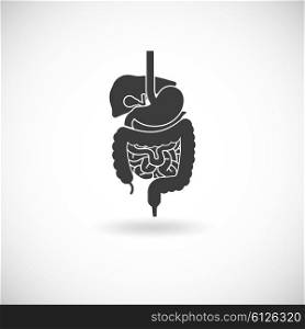 Digestive System Illustration . Digestive system with liver stomach and intestine black white flat vector illustration