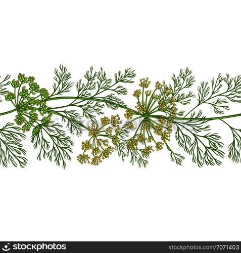 dill vector pattern on white background. dill vector pattern
