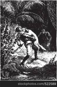 Dingo, the tracking, seized him by the throat, vintage engraved illustration.